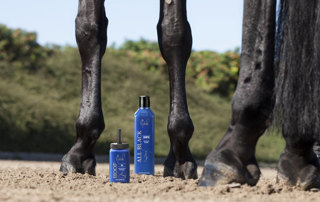 Nathalie Horsecare
