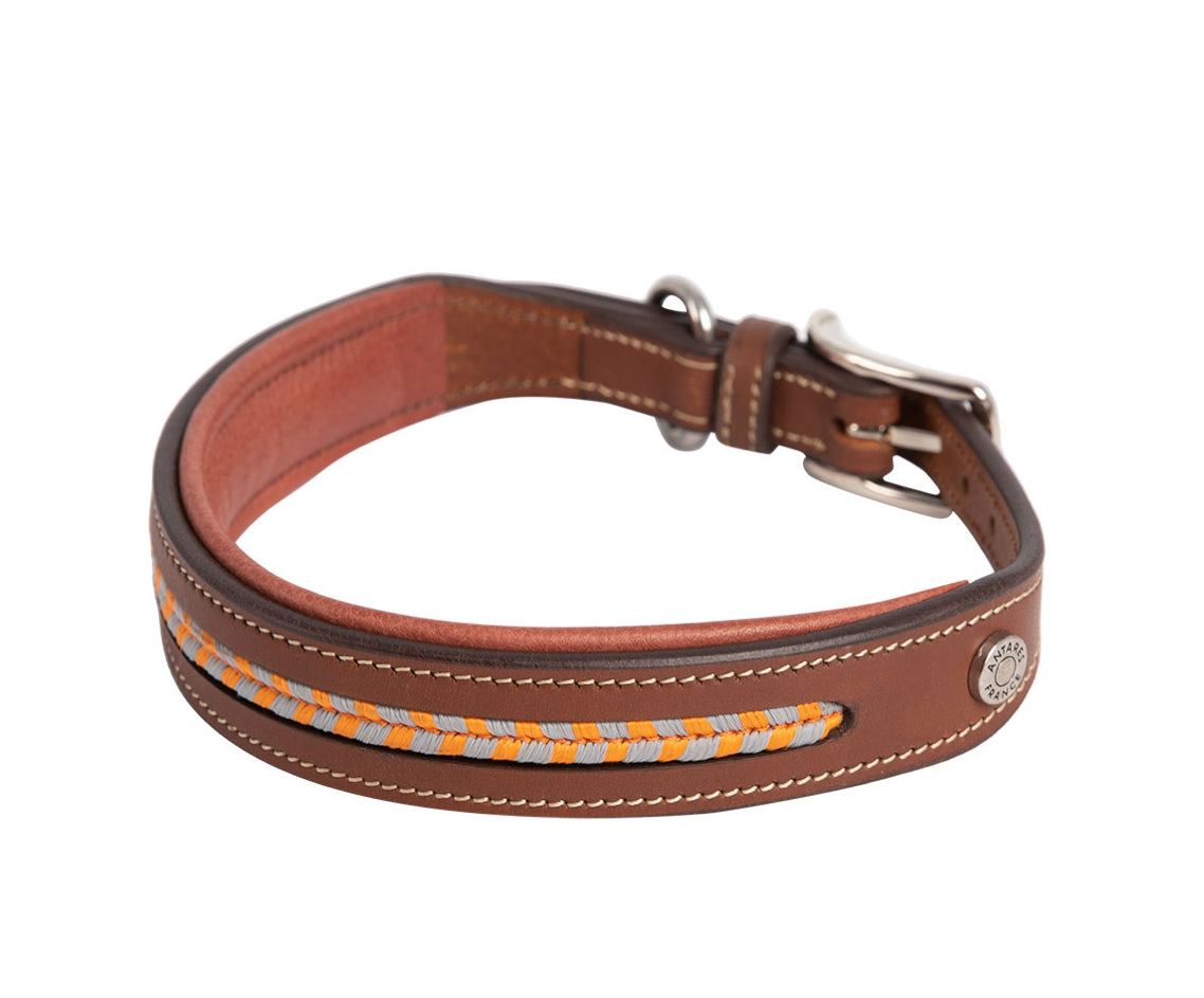 Hundehalsbånd fra Antarès