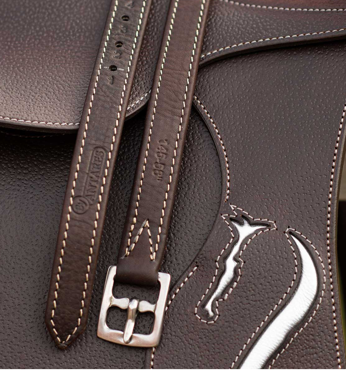Antarès stirrup straps