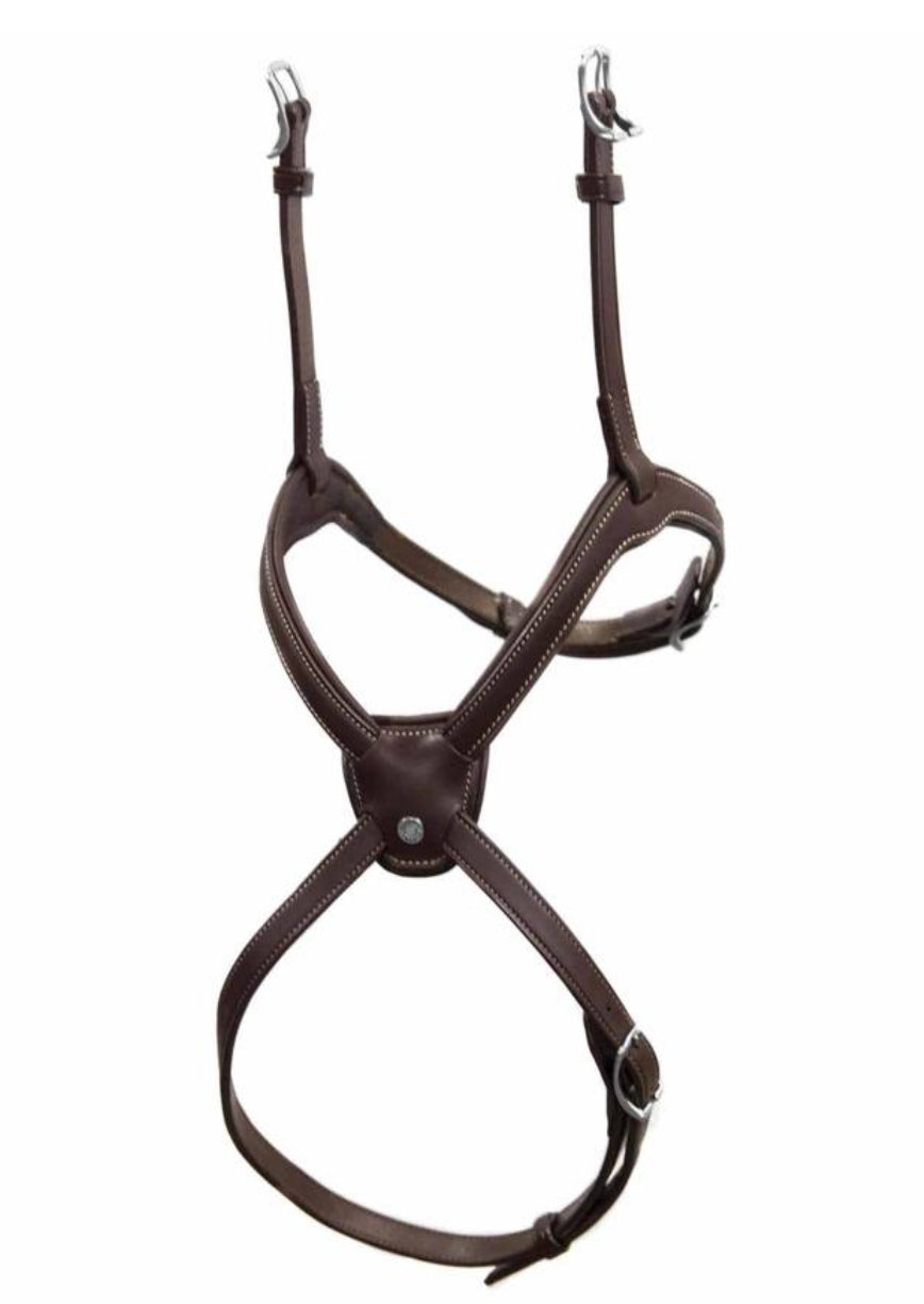 Noseband Antarès origin Fig 8