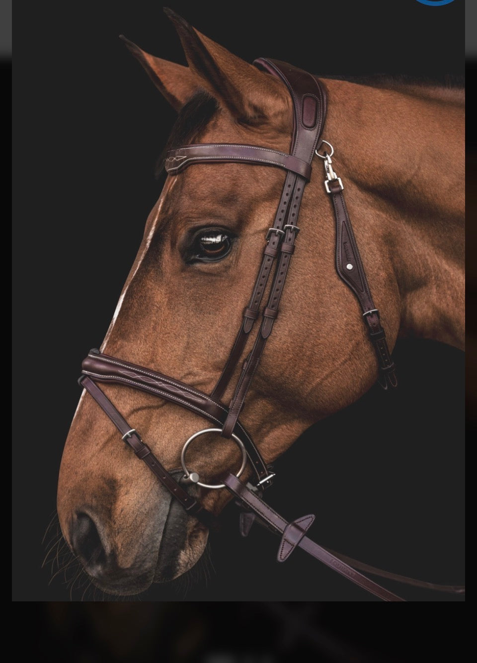Equiline anatomisk light hodelag