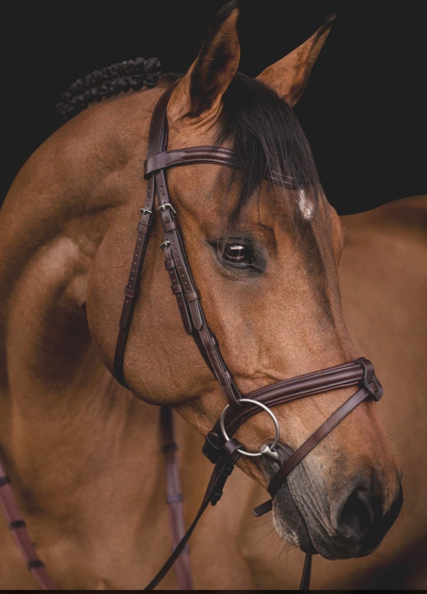 Equiline klassiskt hodelag med flash noseband.