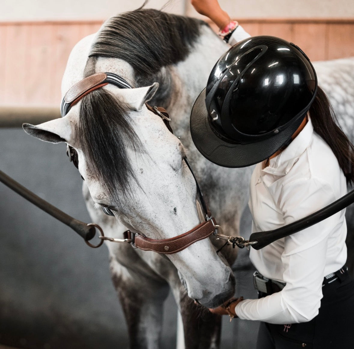 Premium eclipse sort ridehjelm glossy fra Antarès