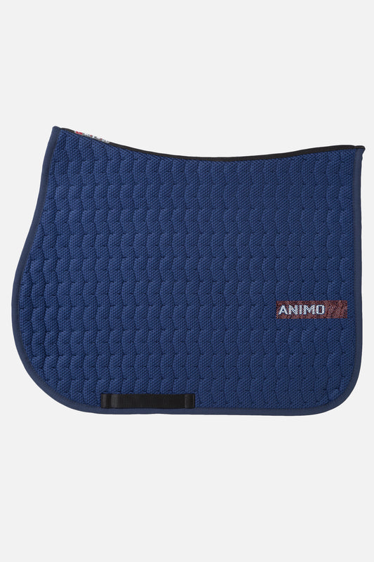 Sjabrak Wayne sprang