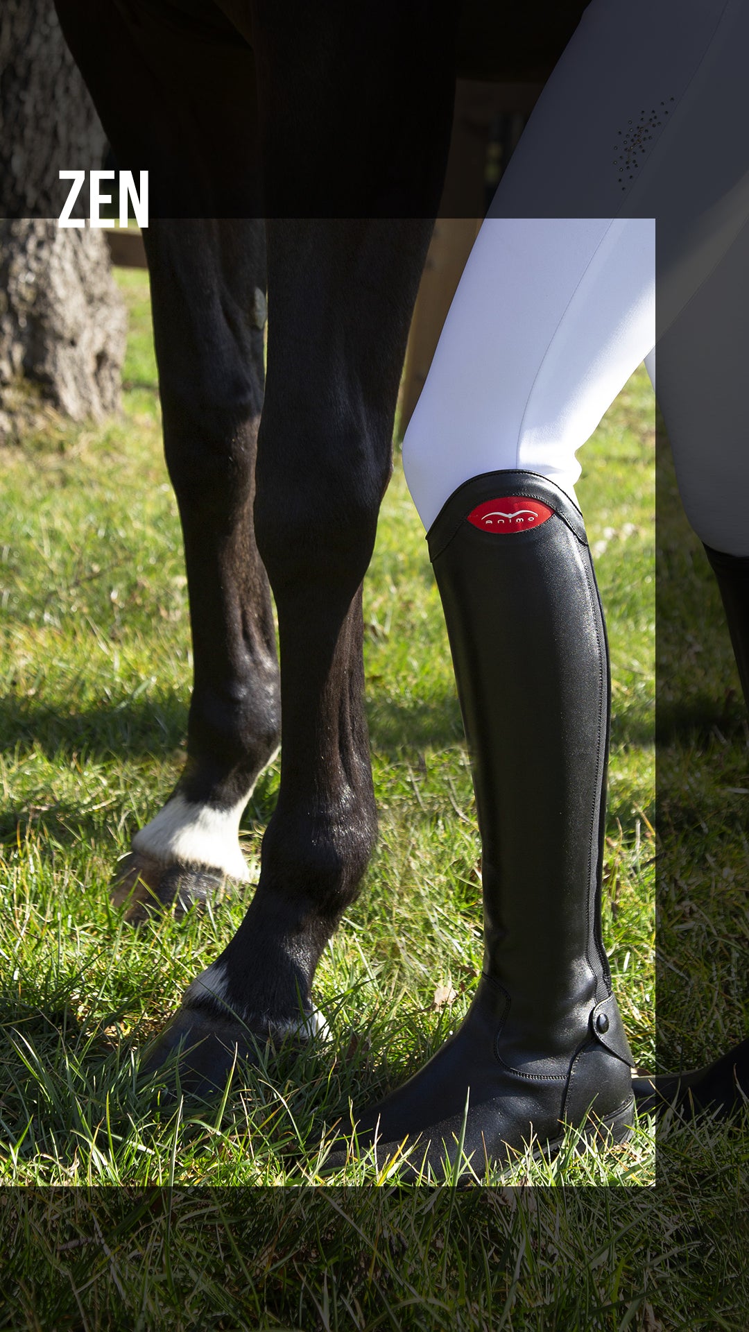 Ridestøvler Zen