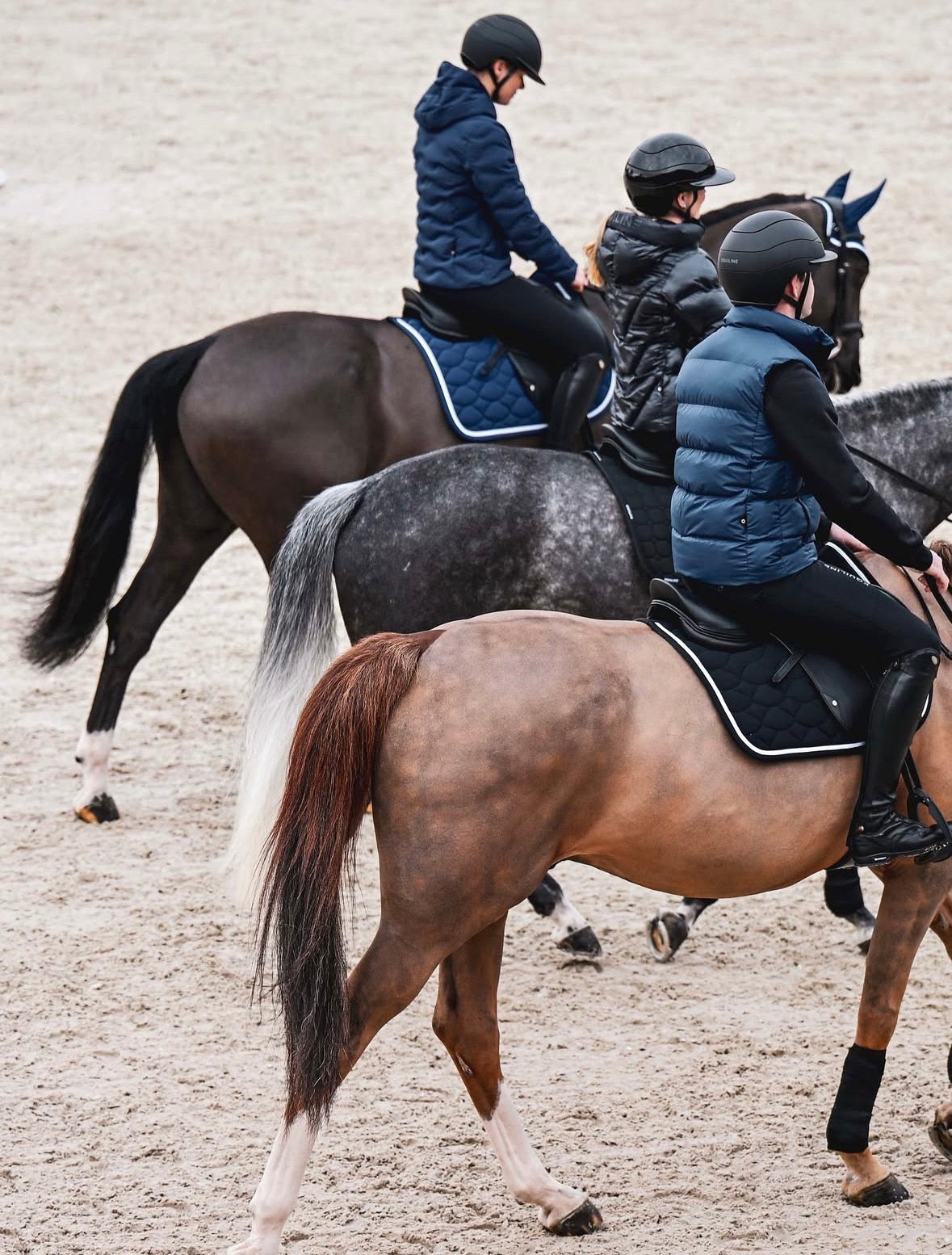 Rytter med ridehjelm og elegante rideklær fra Alba Company