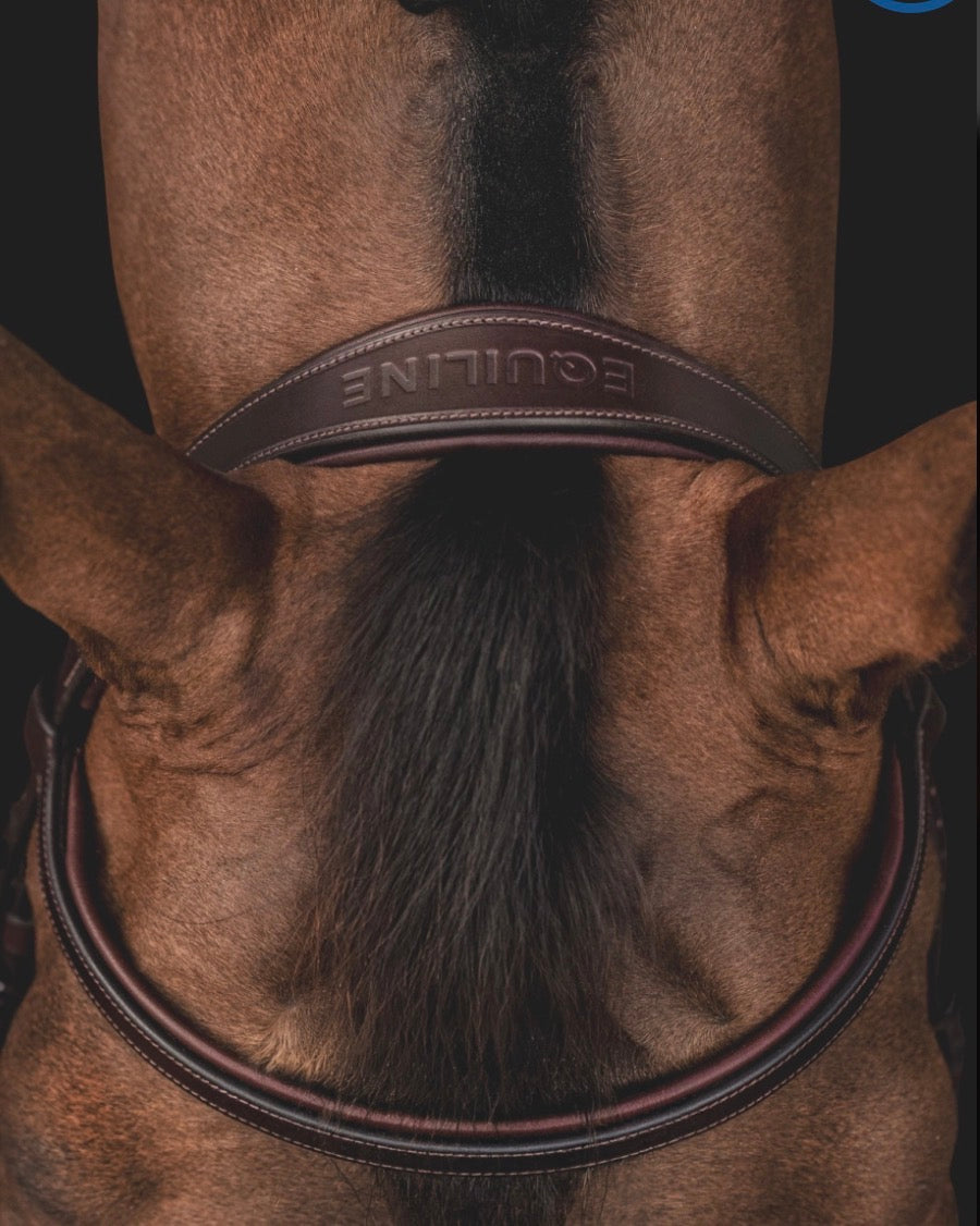 Equiline klassiskt hodelag med flash noseband.