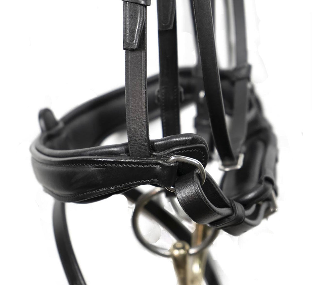 Dressurhodelag Antares signature