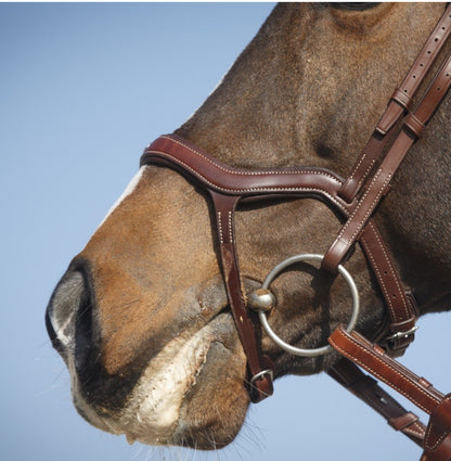 Noseband Antarès Precision Y