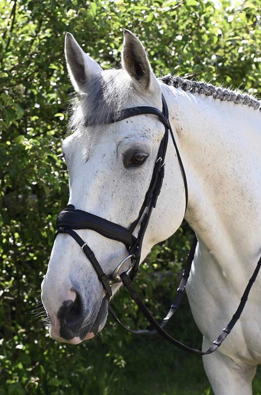 Dressurhodelag Antares signature