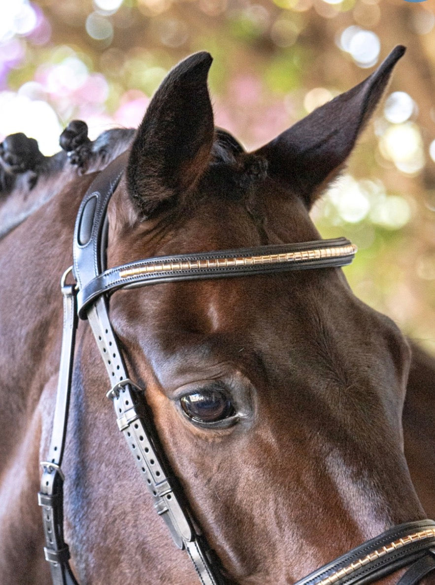 Equiline pannebånd