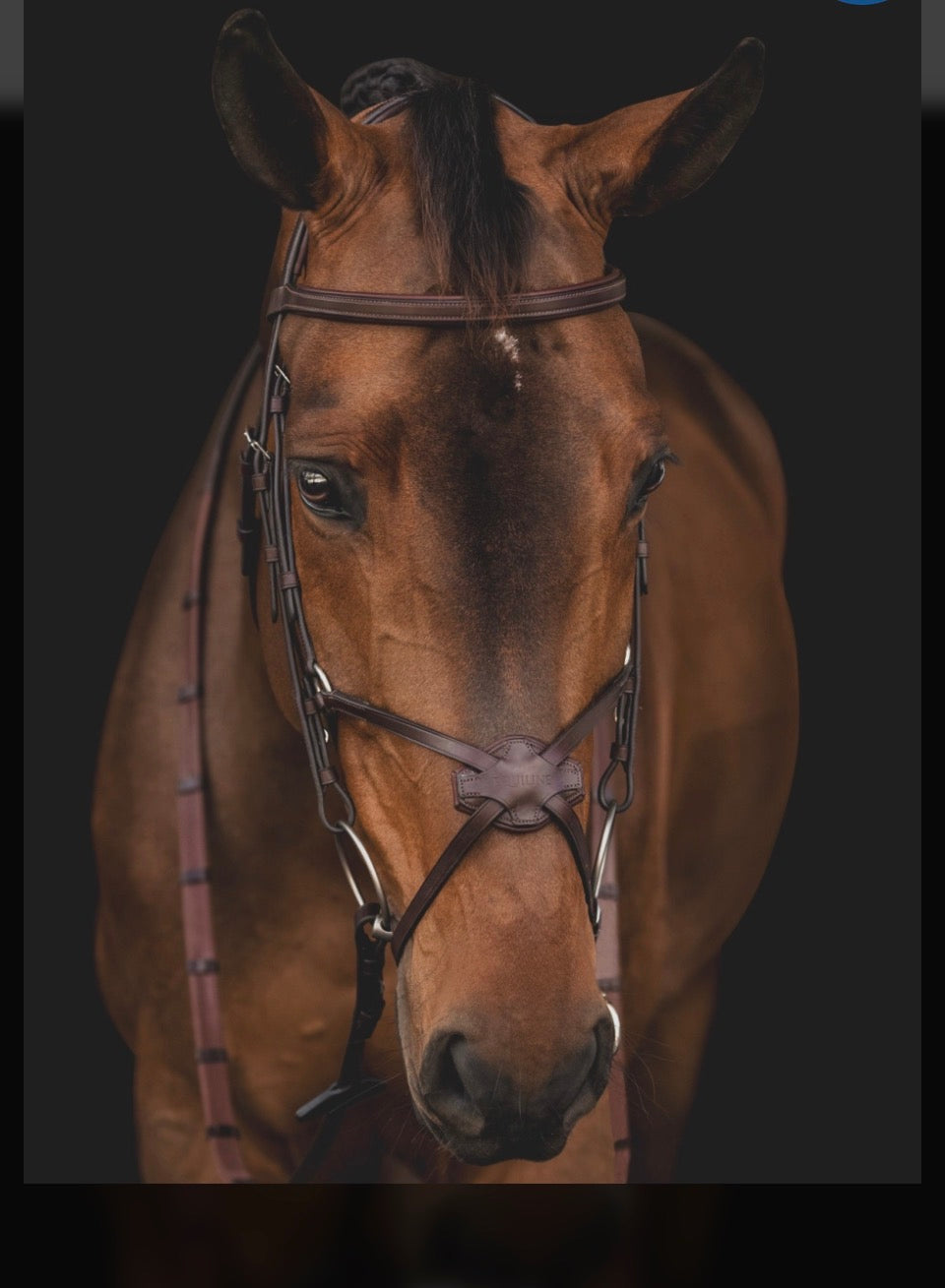 Equiline Mexican klassisk hodelag
