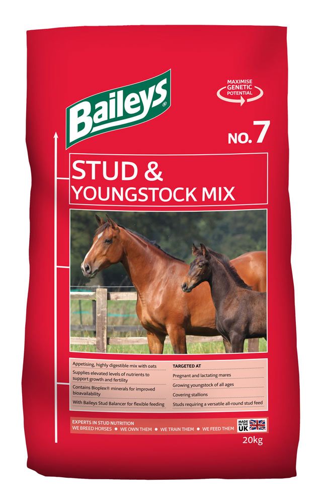 Stud & Youngstock mix