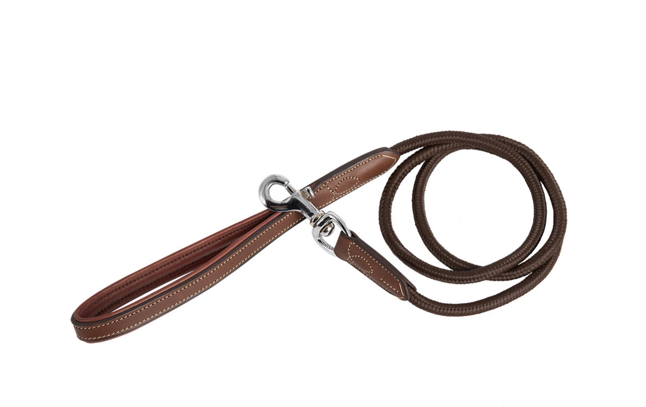 Hundebånd fra Antarès