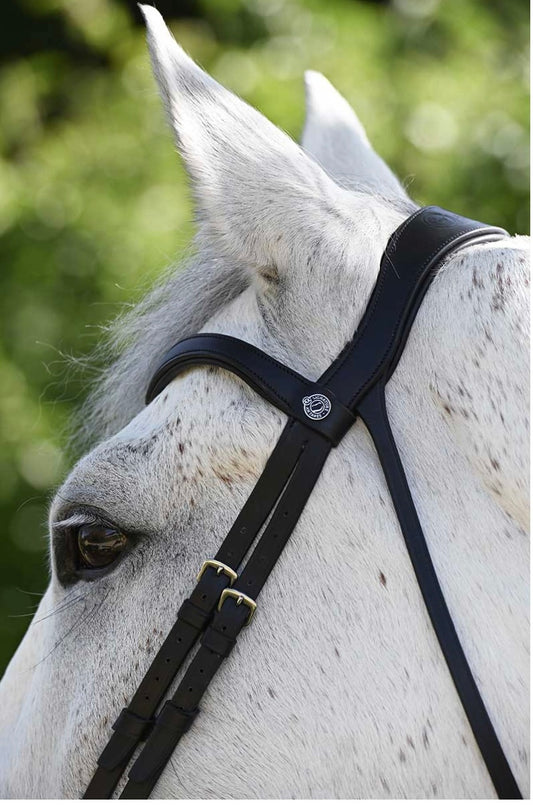 Dressurhodelag Antares signature