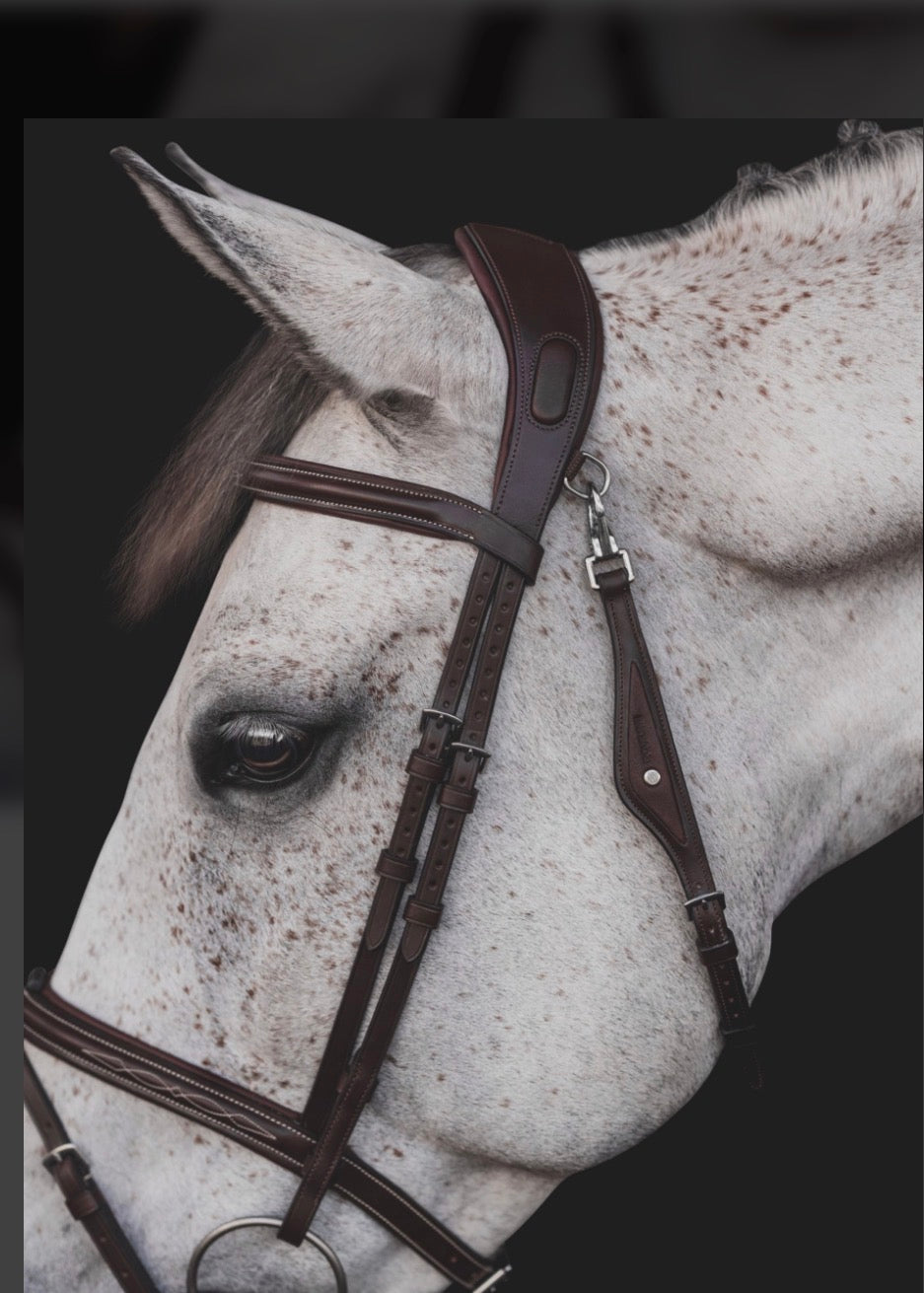 Equiline anatomisk flash hodelag