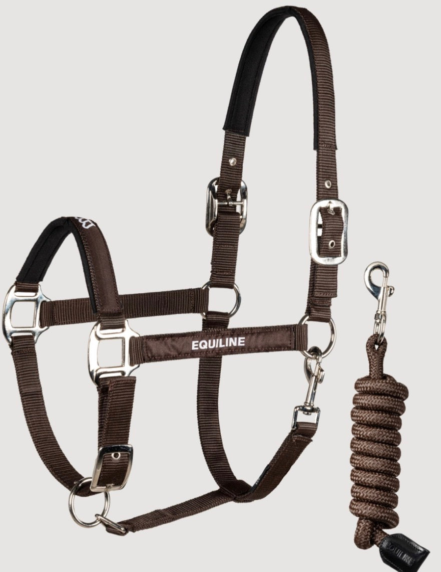 Equiline grime m/leietau