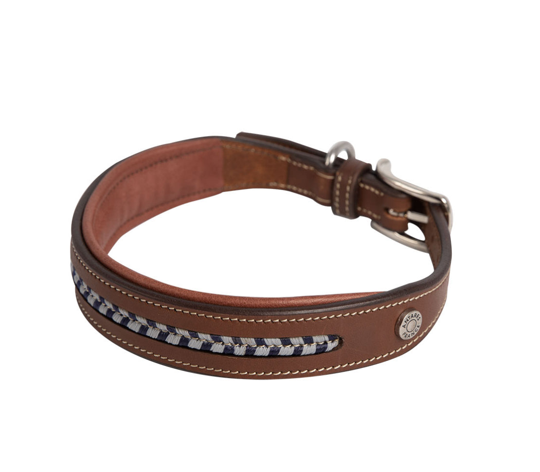 Hundehalsbånd fra Antarès