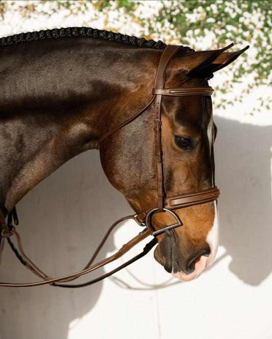 Signature Hunter Hodelag