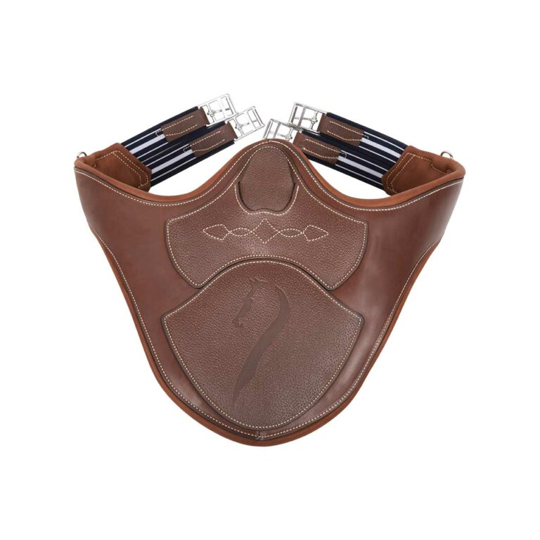 Plategjord fra Antarès