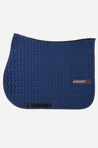 Sjabrak Wayne sprang