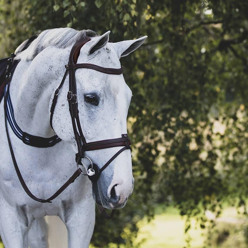 Hodelag Antarès Precision Comfort