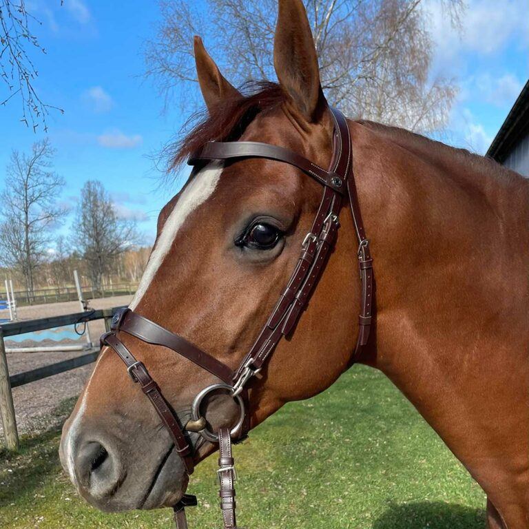 Hodelag Training