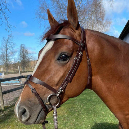 Hodelag Signature Training